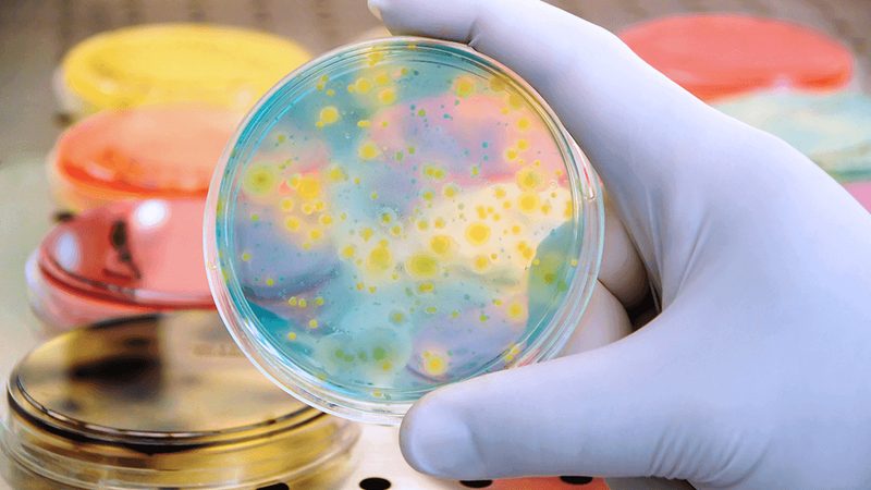 宠物用生物制品，价格几何？揭秘其成本构成与市场现状**