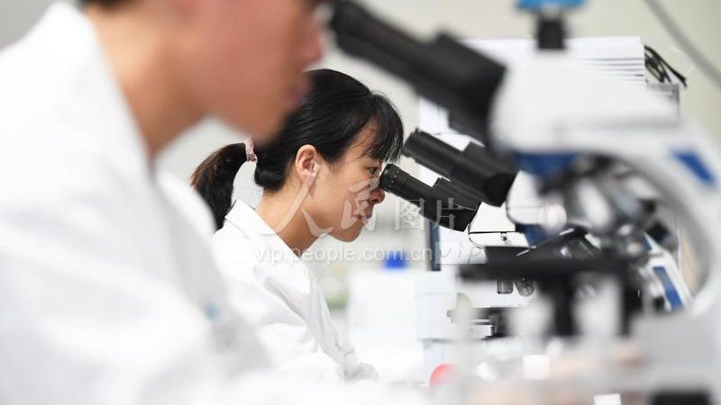 PCR检测试剂规格参数解析：关键指标与选择要点