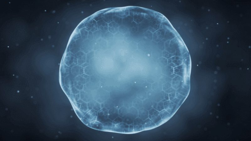 生物制品价格谈判：如何把握策略与技巧**