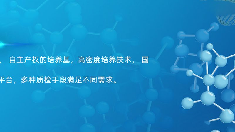 重组抗体：揭秘上海生产服务的关键要素**