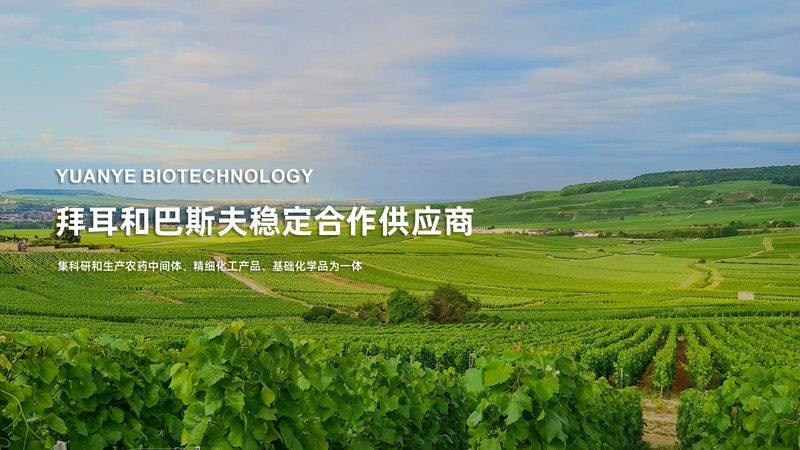 细胞培养基规格参数：揭秘细胞培养背后的关键因素**