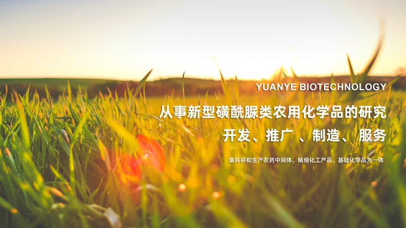 食品级工业酶：揭秘其背后的生产奥秘与选择之道**