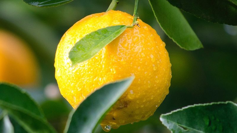 全基因组检测：解码生命密码的关键参数**
