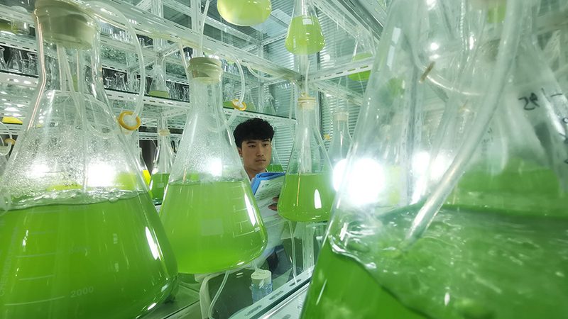 抗体纯化定制服务：揭秘医药研发的关键环节